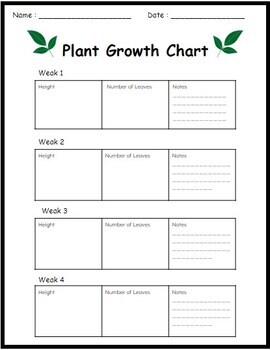 Plant Growth Chart - Worksheet (PDF) by Mr Aline Emorphi | TPT