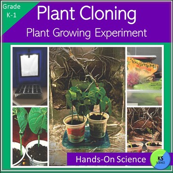 Preview of Plant Growth And Life Cycle | Cloning Experiment | Grade K 1 Science