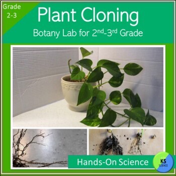 Preview of Plant Growth | Cloning Plants Experiment | Grade 2 3 Botany Science Activity