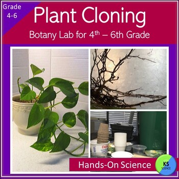 Preview of Plant Growth | Cloning Plants Experiment | Grade 4 5 6 Botany Science Activity