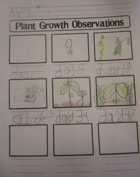 Plant Growth Observation Worksheet by Shannon Allison -- PrintPlanRepeat