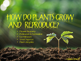 Plant Growth, Reproduction and Life Cycle Lessons with Int