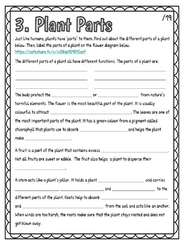 Plant Growth and Changes - Web Quest Activity! by The Clever Crow Resources