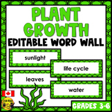 Plant Growth and Changes Vocabulary | Editable Word Wall