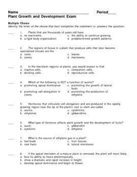 grade worksheet ict 1 for Michalek Plant  by Growth  TpT Exam Lisa Development and