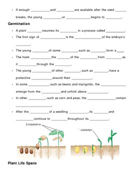 Plant Growth and Development Notes Outline Lesson Plan by Lisa Michalek