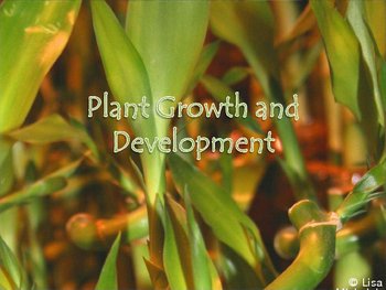 Preview of Plant Growth and Development PowerPoint Presentation Lesson Plan