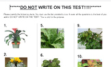 Plant ID Quiz #1