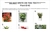 Plant ID Quiz #2