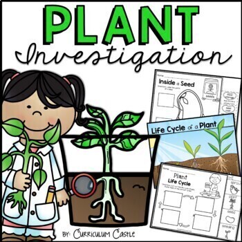 Preview of Plant Investigation Unit: All About Plants, Life Cycle and Needs