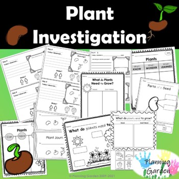 Preview of Plant Needs | Lets Observe and Investigate {plant needs, parts of a seed}