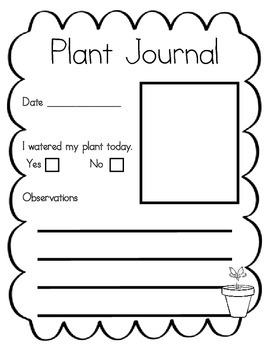 Plant Activity ~ Plant Journal for Grades K-3 by Nancy Strout | TPT