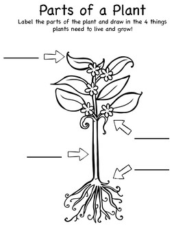 Plant Journal Packet by Flower STEM Learning | Teachers Pay Teachers