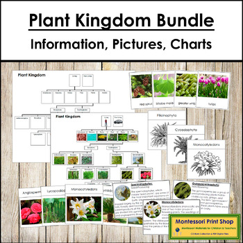 Preview of Plant Kingdom Bundle - Montessori Botany