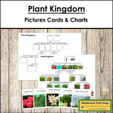 Plant Kingdom Picture Cards and Charts