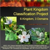 Plant Kingdom Classification Project