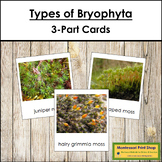 Plant Kingdom: Types of Bryophyta