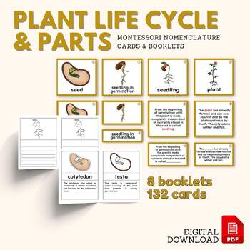 Preview of Plant LIFE CYCLE Part of Plant Montessori Botany Unit Study Cards & Booklets