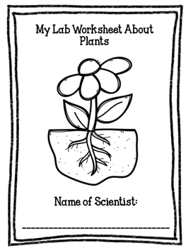 Preview of Plant Lab Worksheet