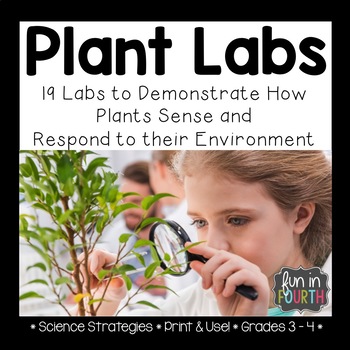 Preview of Plant Experiments - How Plants Sense and Respond to their Environment