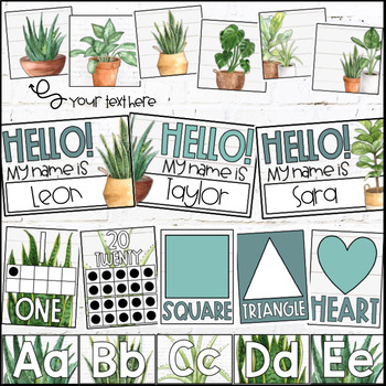 Watercolor Succulent & Cactus BTS Bulletin Board Kit - Shop - Ashley  McKenzie