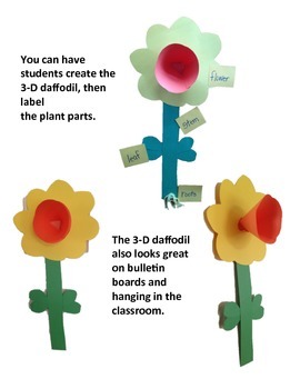 Plant Life Cycle by Christina Krukar | Teachers Pay Teachers