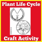 Plant Life Cycle | Worksheet Preschool Kindergarten 1st Gr