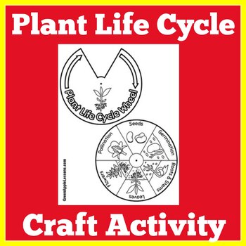 Preview of PLANTS PLANT LIFE CYCLE Worksheet Activity Craft Kindergarten 1st 2nd 3rd Grade