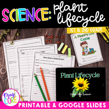 Preview of Plant Life Cycle 1st & 2nd Grade Science Unit Worksheets Activities Experiments