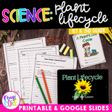 Plant Life Cycle 1st & 2nd Grade Science Unit Worksheets A