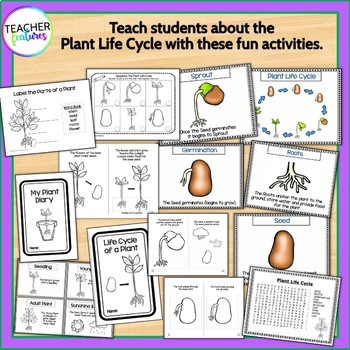 Download Plant Life Cycle Booklet & Activities by Teacher Features ...