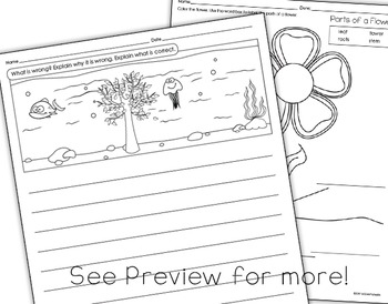 Plant Life Cycle by WOWorksheets | Teachers Pay Teachers
