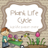 Plant Life Cycle Unit