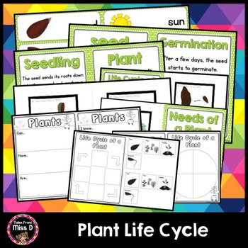 Preview of Plant Life Cycle