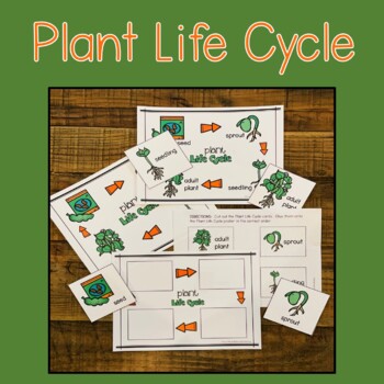 Plant Life Cycle by Teach Learn Bake with Christie G | TpT