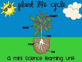 Plant Life Cycle {A Mini Science Learning Unit}