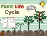 Plant Life Cycle Activities