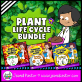 Plant Life Cycle Activities BUNDLE | Life Cycle of a Plant