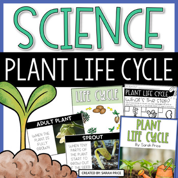 Preview of Plant Life Cycle Activities and Worksheets