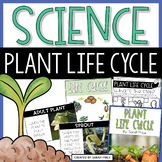 Plant Life Cycle Activities and Worksheets
