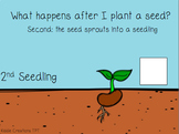 Plant Life Cycle Adapted Book and Worksheets