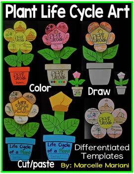 Preview of Plant Life Cycle Art Activity Template