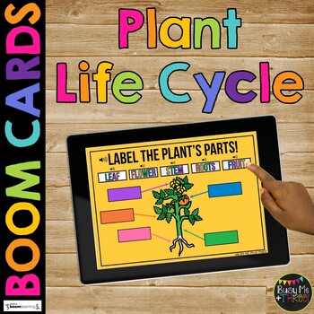 Preview of Plant Life Cycle BOOM CARDS™ Science Digital Learning l Tomato l Sunflower