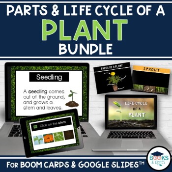 Preview of Plant Life Cycle BOOM CARDS + Slideshow + Templates for Google Slides™ BUNDLE