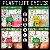 Plant Life Cycle BUNDLE | Student Readers | Science Activi