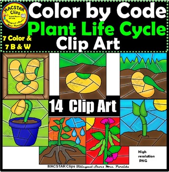 Preview of Plant Life Cycle Color by Code Clip Art Images