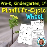 Life Cycle of Plants Craft Activity - Wheel - Craftivity