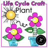 Plant Life Cycle Craft Potted Flower