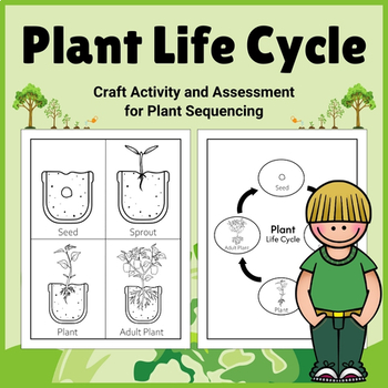Preview of Plant Life Cycle Craft: Science Activity and Assessment for Plant Sequencing