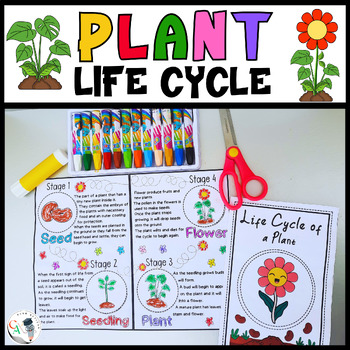 Plant Life Cycle Craft Spring Science Life Cycle of a Plant Coloring Pages